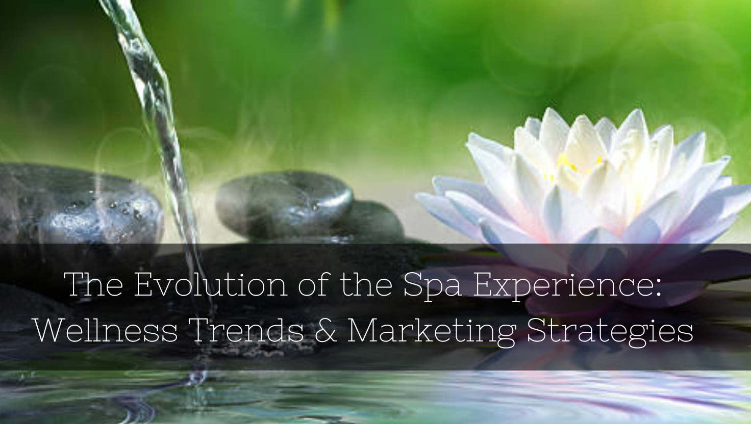 The Evolution of the Spa Experience: Wellness Trends & Marketing Strategies